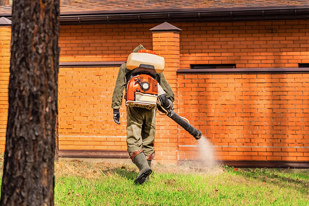 Trusted Bed Bug Control service in Delevan, NY - Nex Pest Control
